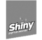 Shiny_logo.png